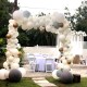Арка из шаров на свадьбу Мечты сбываются