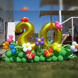 Цифра 20 из шаров на лужайке