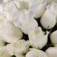 Белоснежные розы 51 шт