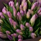 Букет из сиреневых тюльпанов 51 шт