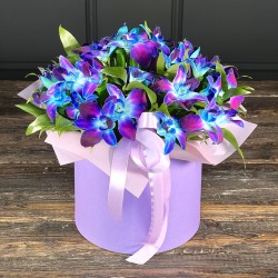 Синяя орхидея в шляпной коробке