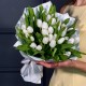 Букет из 35 белых тюльпанов