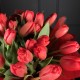 Букет красных тюльпанов 51 шт
