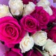 Букет из ярко розовых и белых эквадорских роз