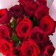 15 красных роз в белой упаковке