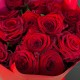 15 красных роз в красной упаковке