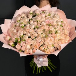 Большой букет из 51 пионовидной кустовой розы Бомбастик