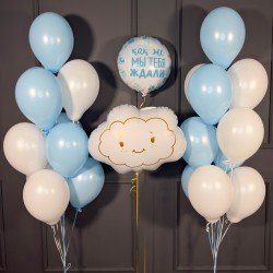 Композиция на выписку  с облаком и кругом